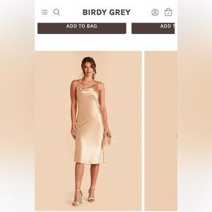 Birdy Grey Lisa Midi Dress (Shiny Satin Gold)